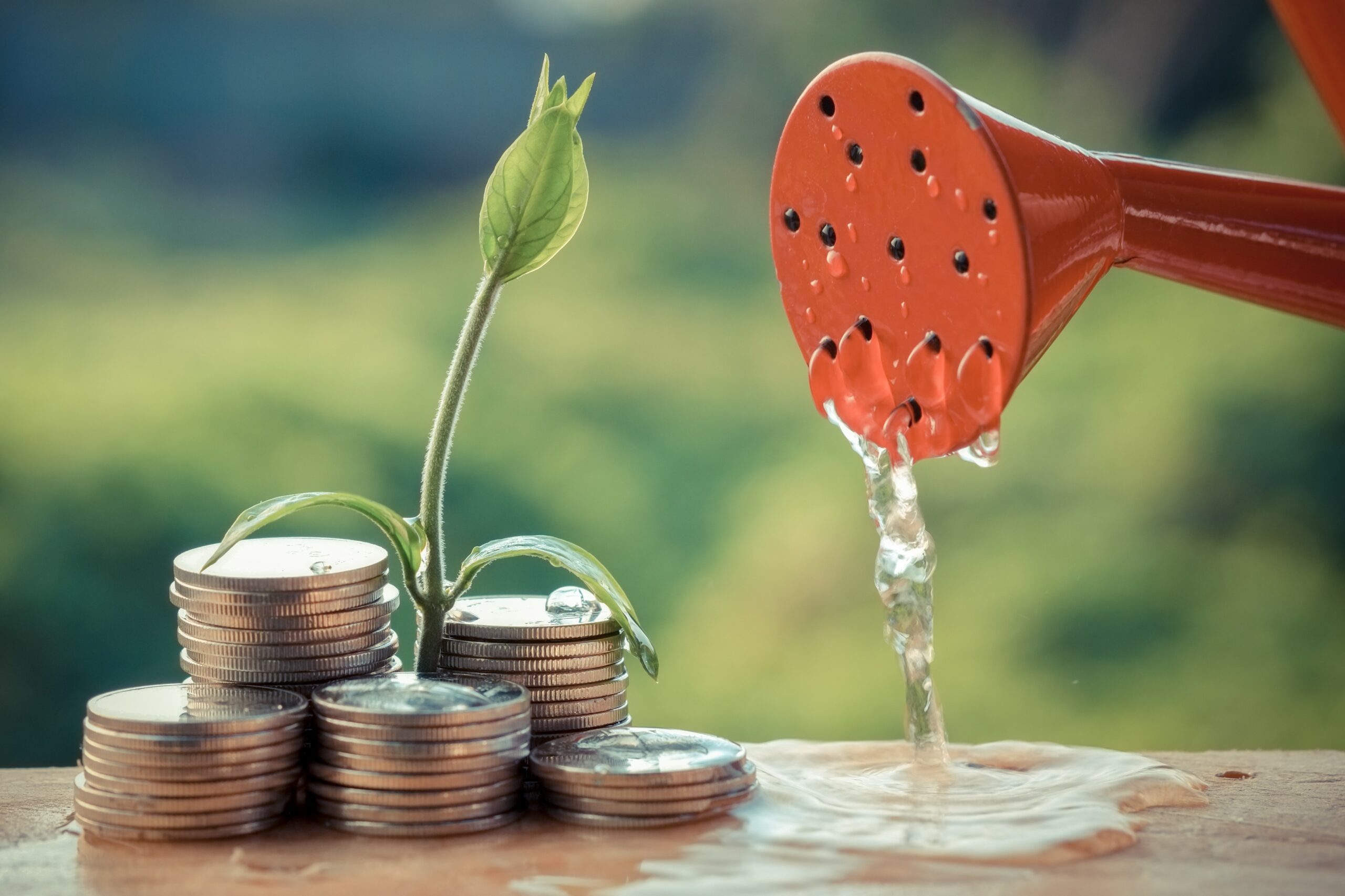 Pre-Equity Funding